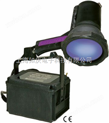 C-100PAR/F紫外线灯|C-100PAR/F高强度紫外线灯|