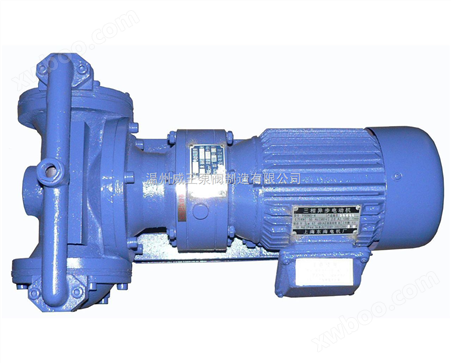 DBY型电动隔膜泵生产厂家，价格，结构图