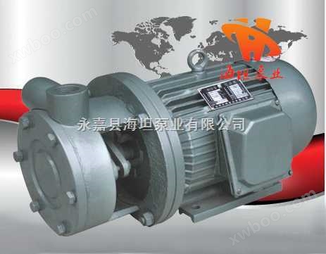 旋涡泵系列 海坦牌 1W系列直连式单级旋涡泵价格