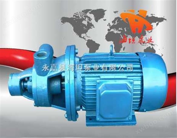 永嘉县海坦牌厂家 1W型单级旋涡泵