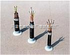铁路铠装信号电缆PTY23 信号电缆【PTY23】--标电缆
