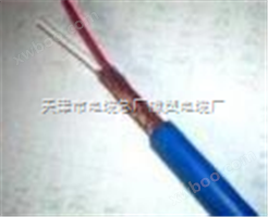 铠装屏蔽矿用控制电缆_MKVVP-22--电缆制造商