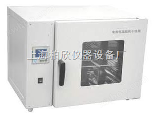 AG-9123A精密电热恒温鼓风干燥箱 烘箱 食品检验干燥箱