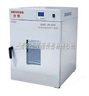 DHG-9240A上海立式250度精密型电热恒温鼓风干燥箱
