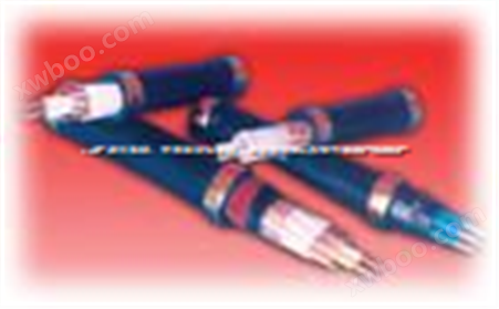 KVV22 KVVP  聚氯乙烯绝缘和护套控制电缆
