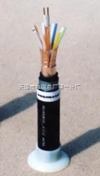 阻燃铠装计算机电缆ZR-DJYPVP22,