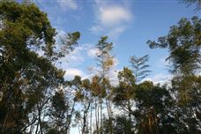 迎高温，战臭氧！成都市各级各部门全力守护蓝天！