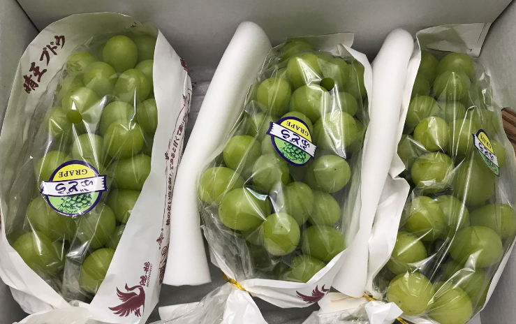 冷冻水果走红，背后的食品机械有何 “功劳”