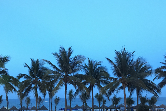 圆通“最强大脑”亮相“双11”：AI如何为上亿包裹规划“最优解”？